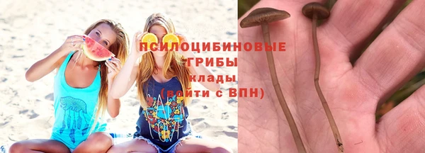 твердый Краснотурьинск