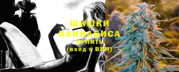 ПСИЛОЦИБИНОВЫЕ ГРИБЫ Краснослободск