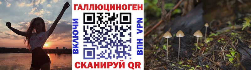 Купить Лермонтов Галлюциногенные грибы GOLDEN TEACHER